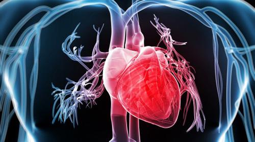 Mối liên hệ giữa tình trạng căng thẳng và các bệnh về tim mạch