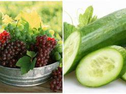 Khả năng giải độc kinh điển của 4 loại trái cây