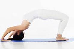 Yoga bộ môn để giảm cân và có lợi cho sức khỏe